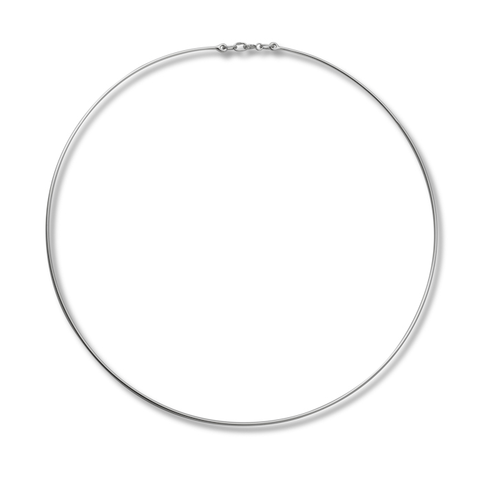 Серебряная Гривна